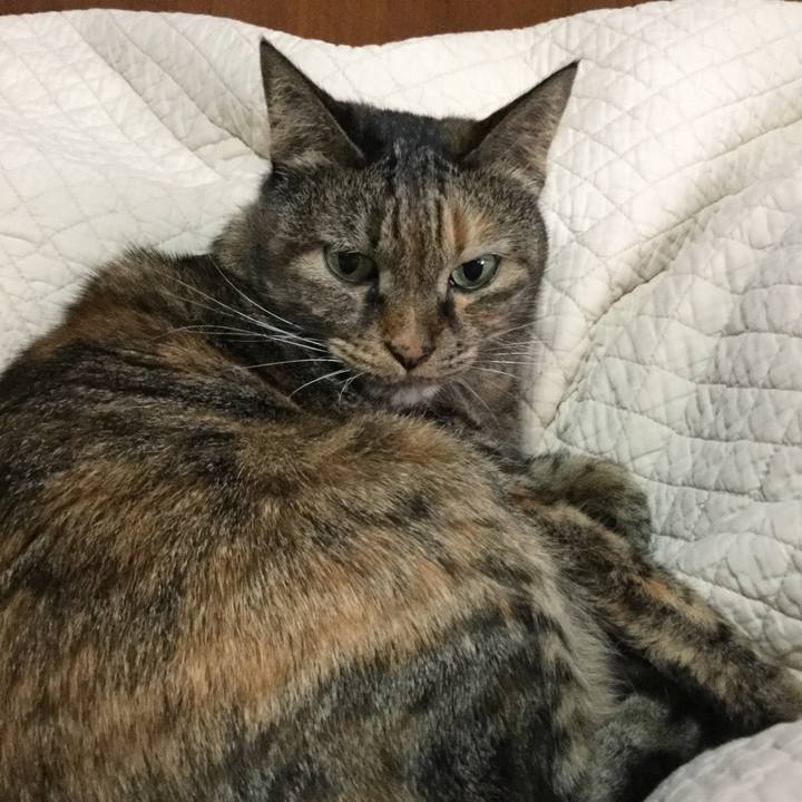 Ad5f9cdb d2d2 43aa 986f 3a86e0729af8