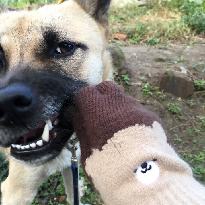 Ad5fc319 3c07 4998 9593 0d804cba8c28