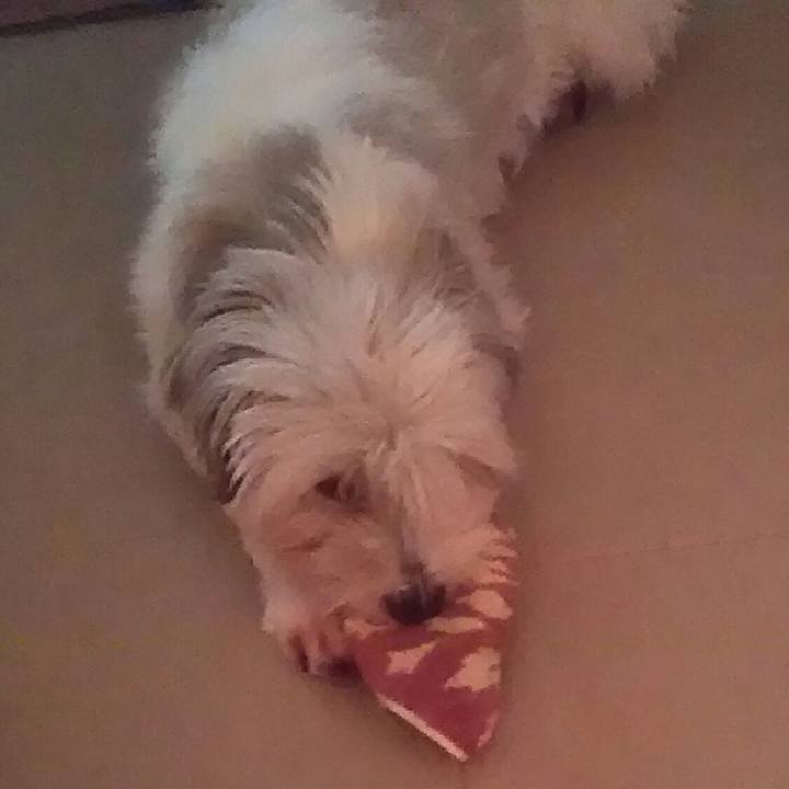 Ad5fca5a 4455 46a6 87ca f75a23a12ee0