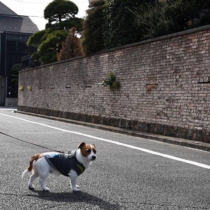 Ad5fe70d 27d4 4741 aceb d3d83c41bab8