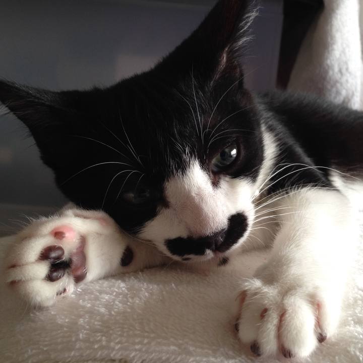 Ad604fb0 a435 4d53 b740 a377cbe7b454