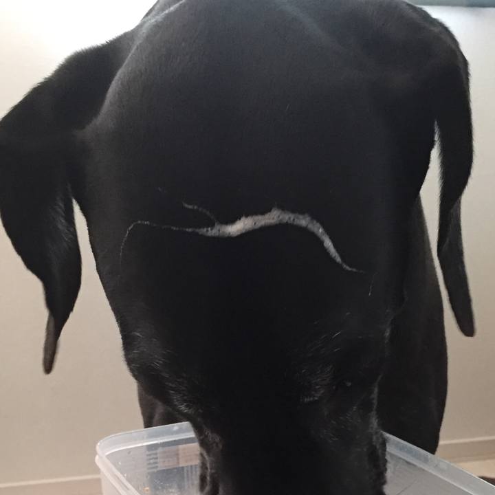 Ad60ee11 82e5 4bc0 9e7e 12f1050a452f