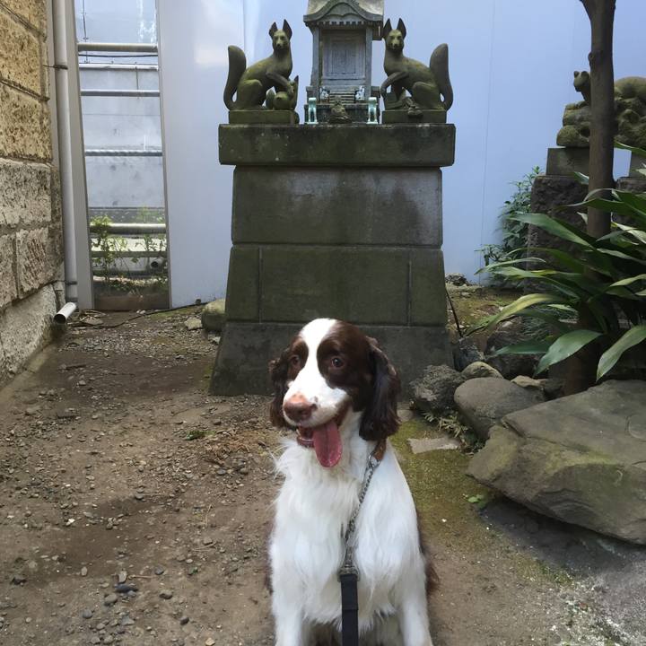 Ad617463 de3a 4295 bdea 3d373ade1a43