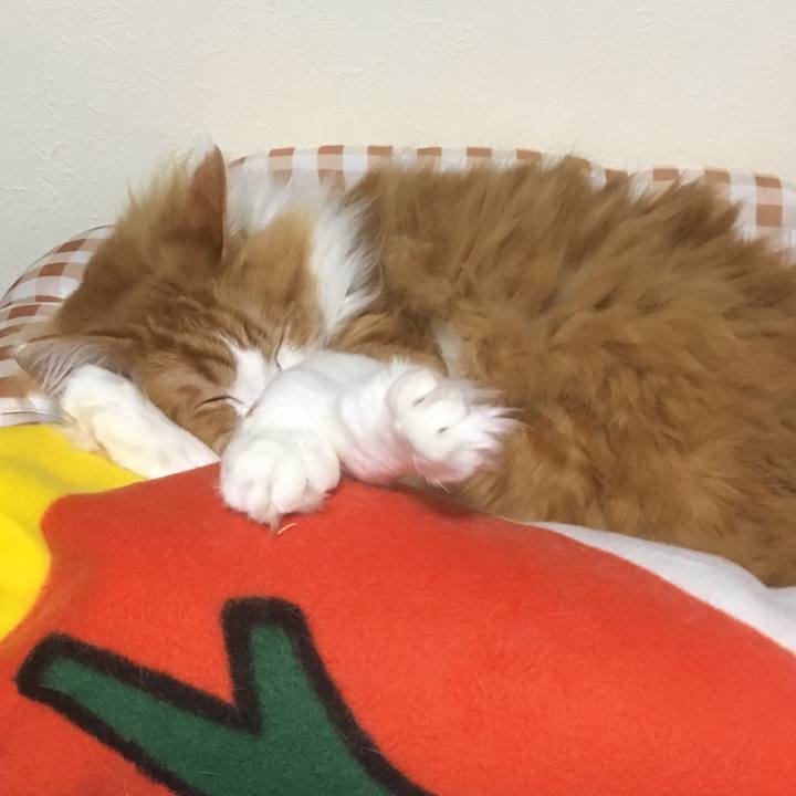 Ad61b0e3 e722 492f ad6b 098d2303caf5