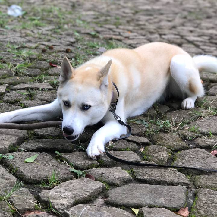 Ad61ecff 0896 402f 9547 4298b4b38b87