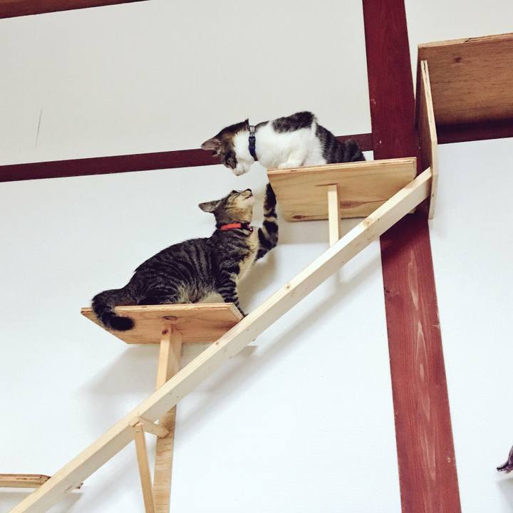 Ad6280a9 5ea9 4757 9927 25a6e93b7e0b