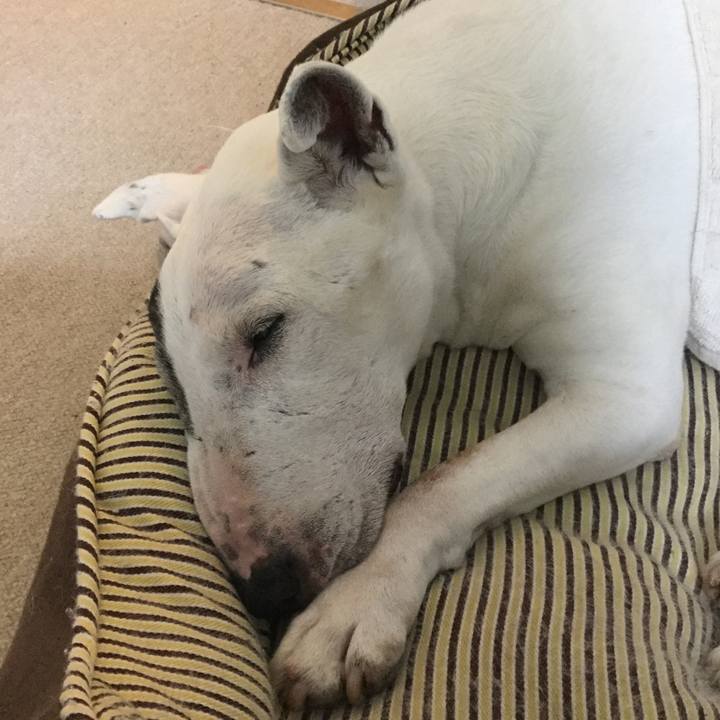 Ad63ac5a f575 4125 9e53 cb1cbaeeb043