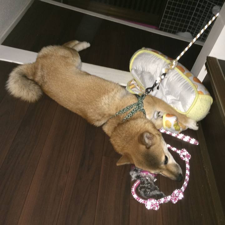 Ad640446 9985 4d59 a6da 53703f36b8b7