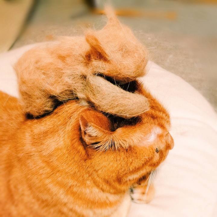 Ad6463e9 c860 4ad9 87be 176cec8ecb7a