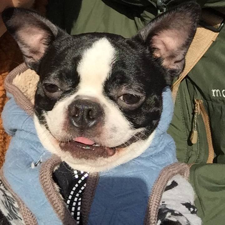 Ad656e10 e2a2 4c0f 96be 5dd575454b88