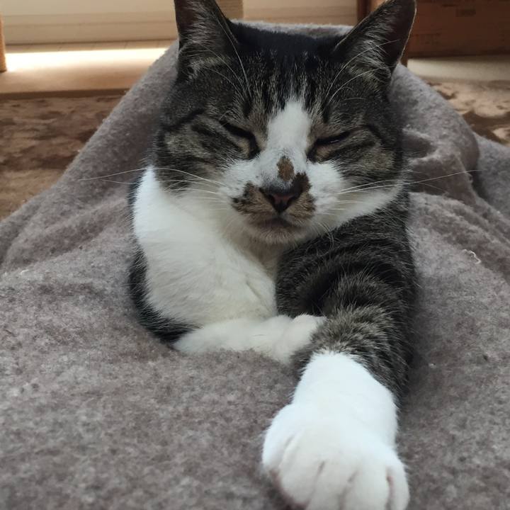 Ad662843 a081 4474 99f6 480d7da5ee48