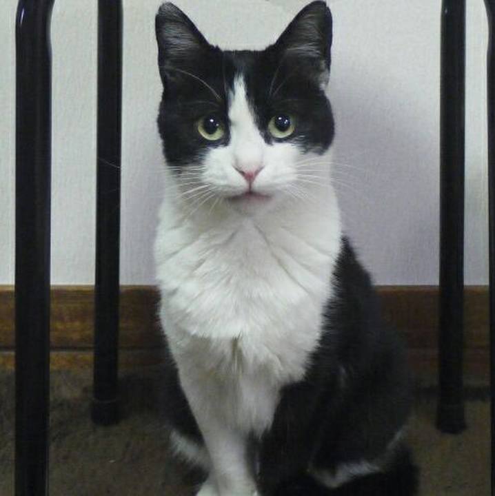 Ad66a6fd 5924 4bb3 a8d4 bc00e2caaa1c