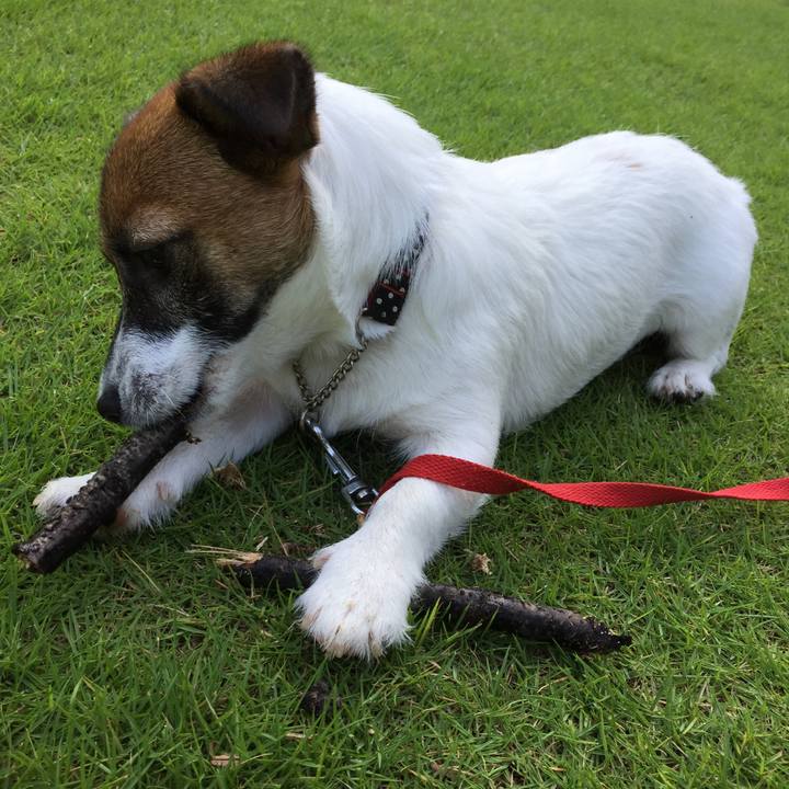 Ad6779ea 66ca 4cd0 a182 330ce6fdae22