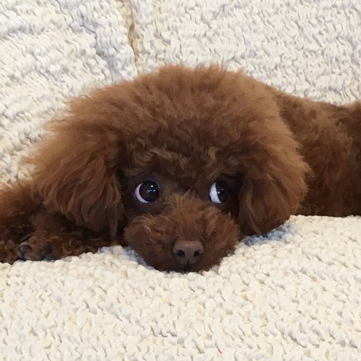 Ad679a16 36c8 45ed 9aec 50eaf7baed48