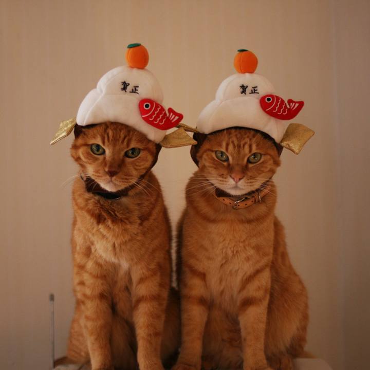 Ad67b3d1 fa63 415a ba6b 7bae51e72398