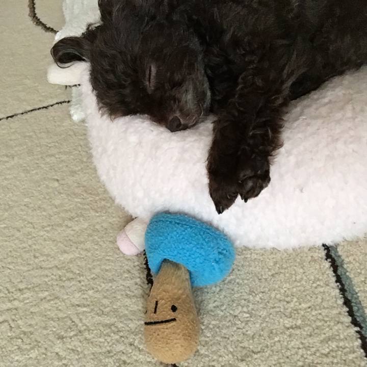 Ad67f334 192a 4ff8 bc0d 857eb1df362b