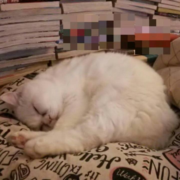 Ad680bb0 c381 442d b168 69a573d0eac9