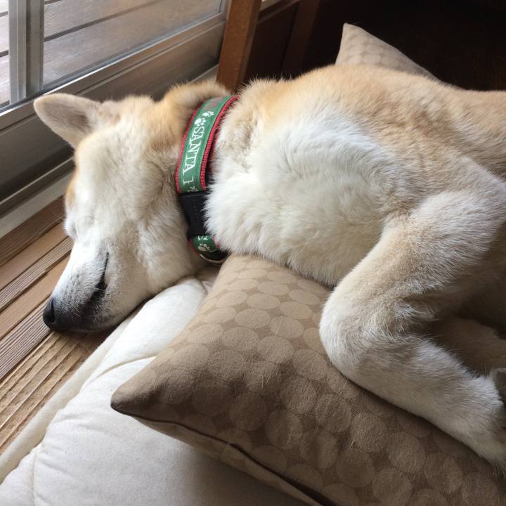 Ad684a73 de1b 46e6 8112 fc38f7cea607