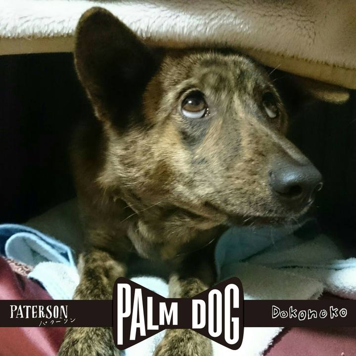 Ad690f3f 15e3 4279 9980 62d3e3bad634