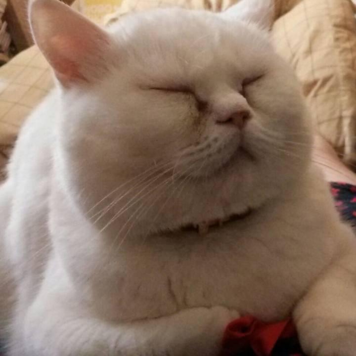 Ad697528 20b9 4228 8fe5 178ed9fc12f7