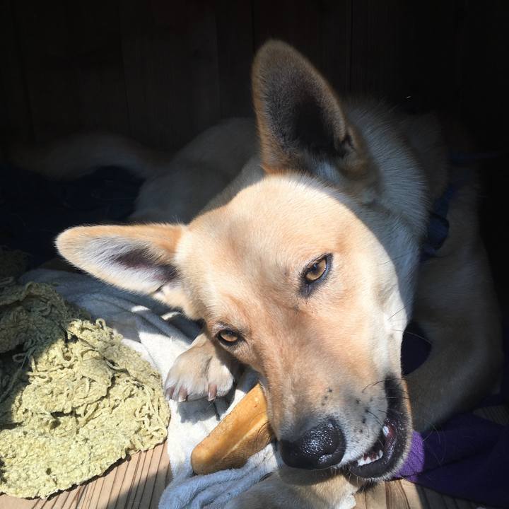 Ad69d30e 34c2 452a b673 27bf20ef9d95