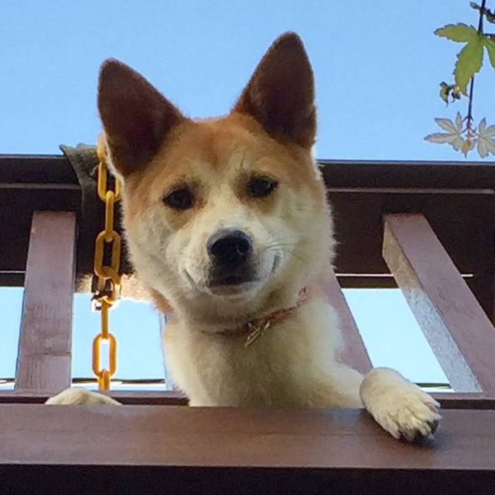 Ad6a18ae e69d 4bc5 a67b 4d80e21118cd