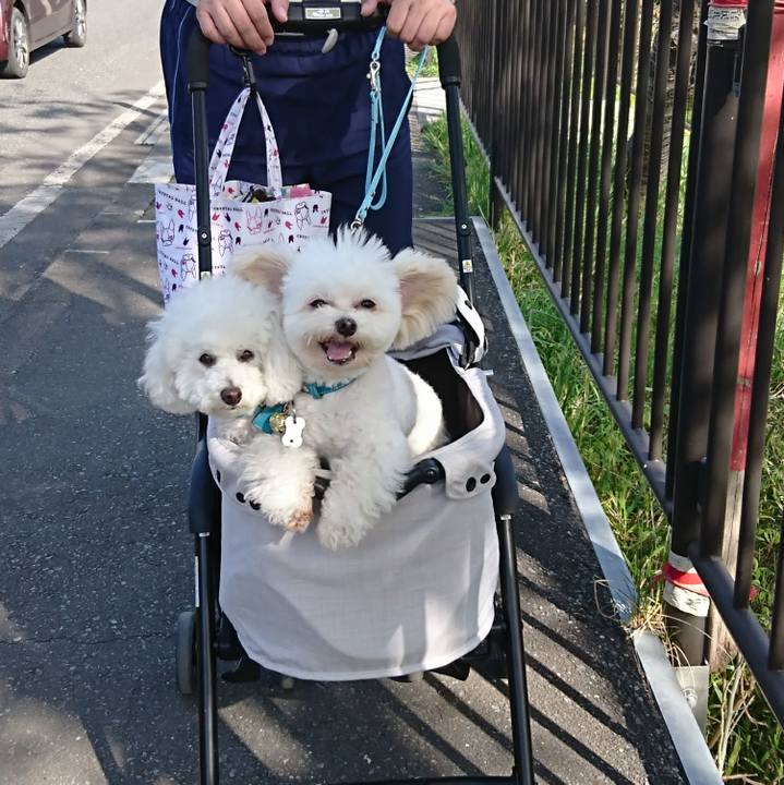 Ad6a32bc a349 4671 b3f7 7c1ec62fd190