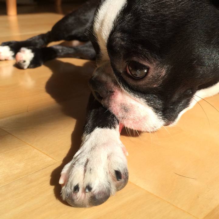 Ad6a9a40 0415 4a53 a791 af3d5ac9ad44