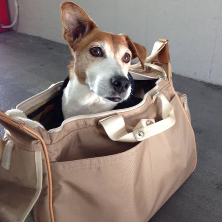 Ad6b3d5a a849 4b0d a2c7 0dacaac4f300