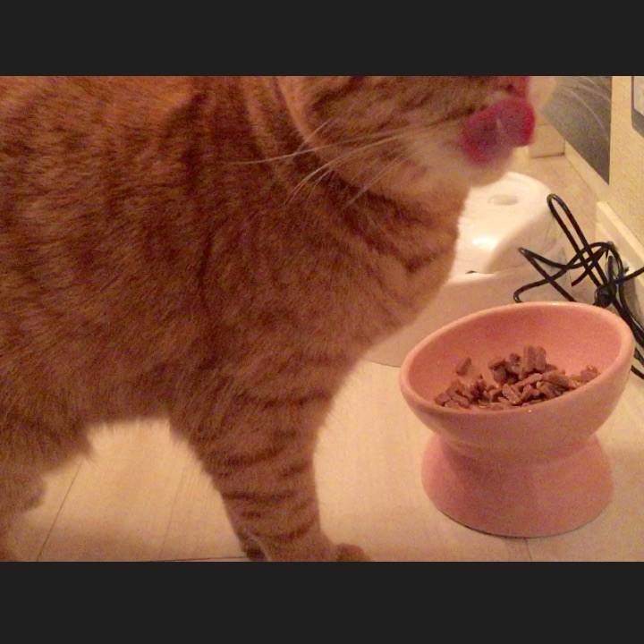 Ad6b6c94 d486 48ed 822e 596ed93da77d