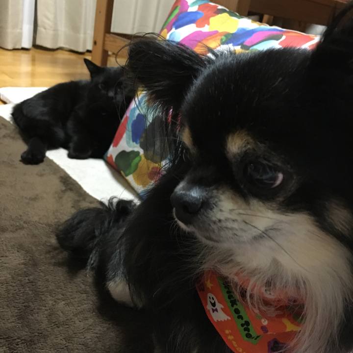 Ad6b83fc 2f61 479a 89ed 34c87aff9e82