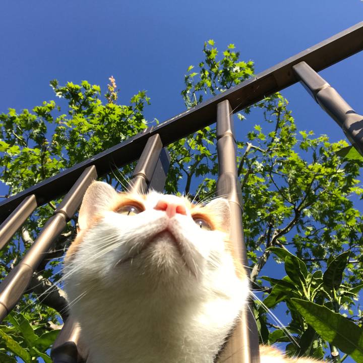 Ad6c8e3b d441 4da4 9114 478c01304266