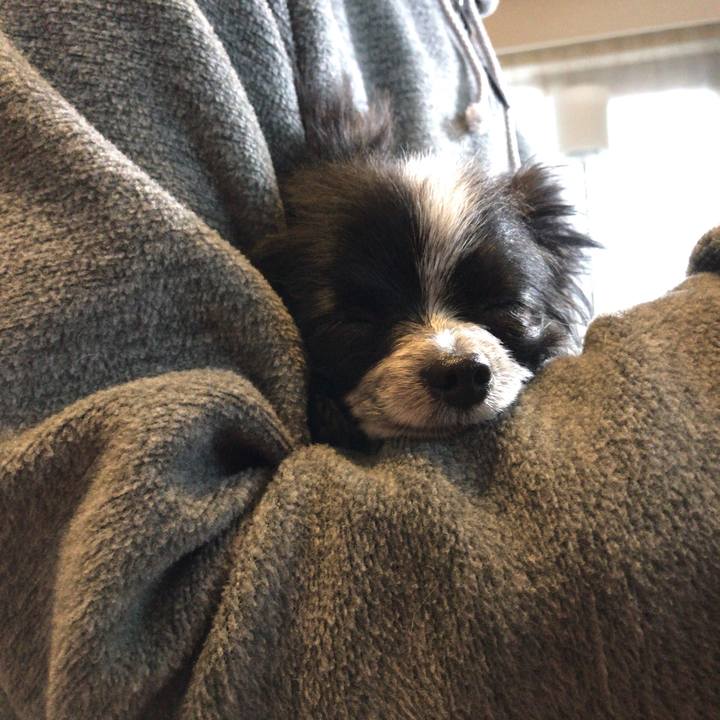 Ad6d8f83 5b86 4267 b99d 746989348f41