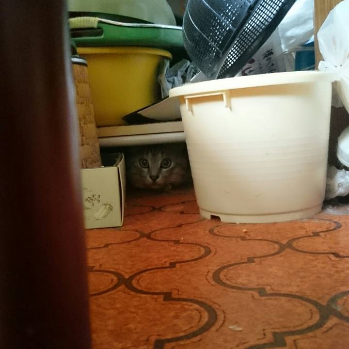 Ad6de691 2319 44ac 9028 1c6ed404b5cc