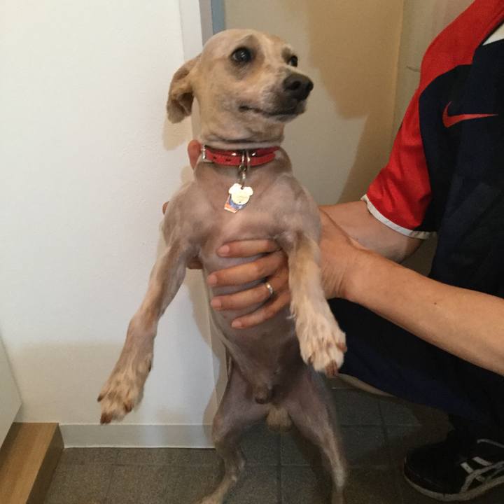 Ad6e0cf3 14ce 4b94 8abb db0e65f470be