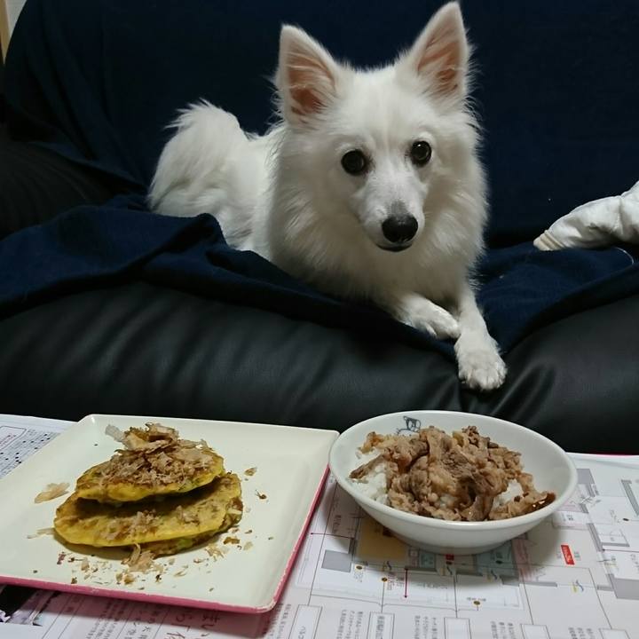 Ad6e2553 0be1 4dca a35a 0b999b466183