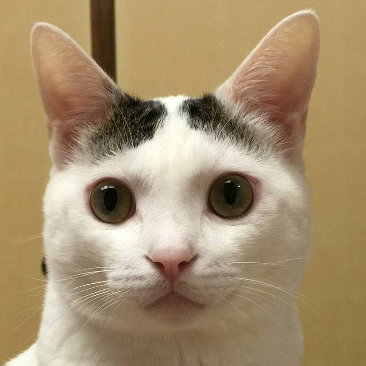 Ad6efd6a 81d8 477f b213 f12a53701706