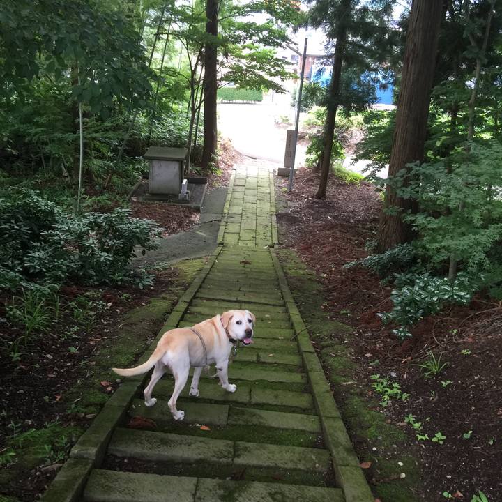 Ad6f23da 4cde 4a43 8b01 06d9840c75ba