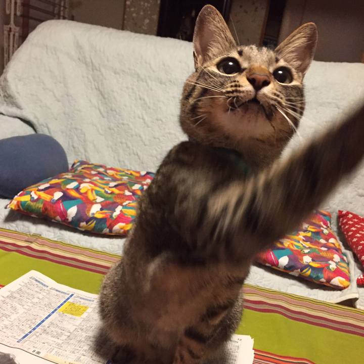 Ad6f3df5 2894 444d 9234 d410819f57be