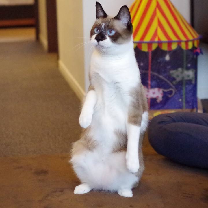 Ad6f5603 acd9 45c8 91dc 870e3014e6a0