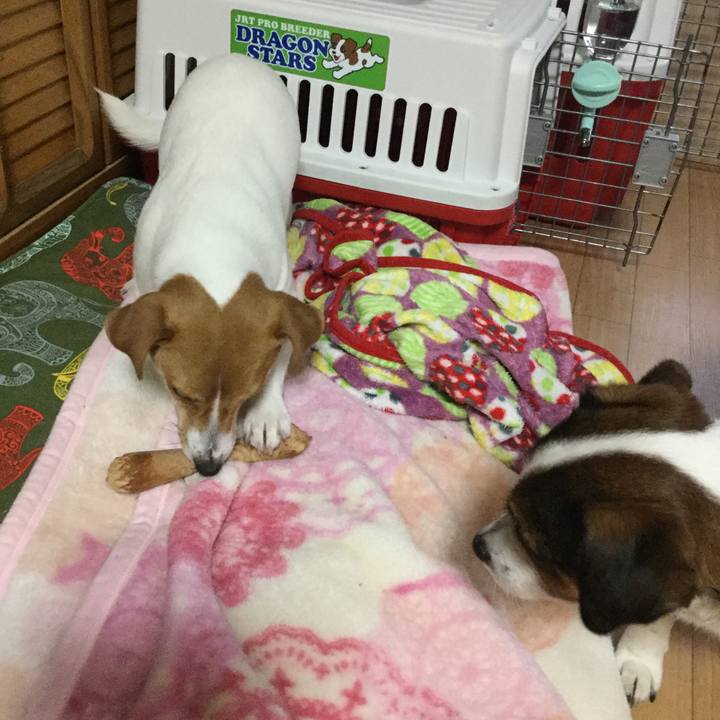 Ad6f62c7 6908 4cfc a863 8f4398ed37be