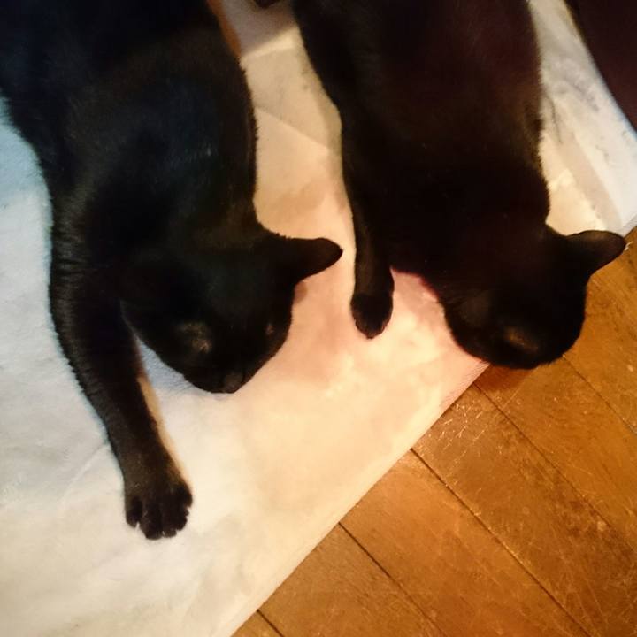 Ad6f731d 244f 4954 96d5 f6243b28ee4c