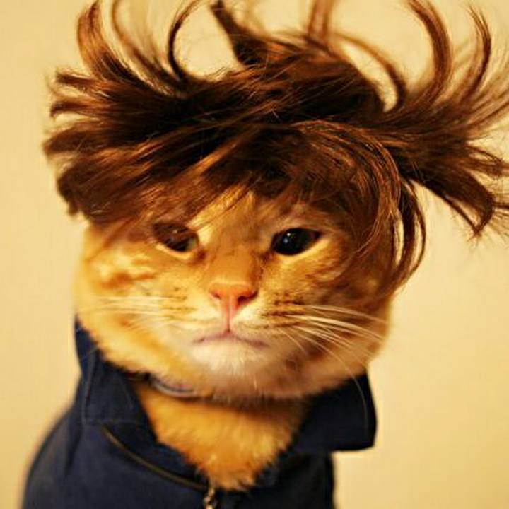 Ad700fbf deb0 4153 968d 9ab0237a217a