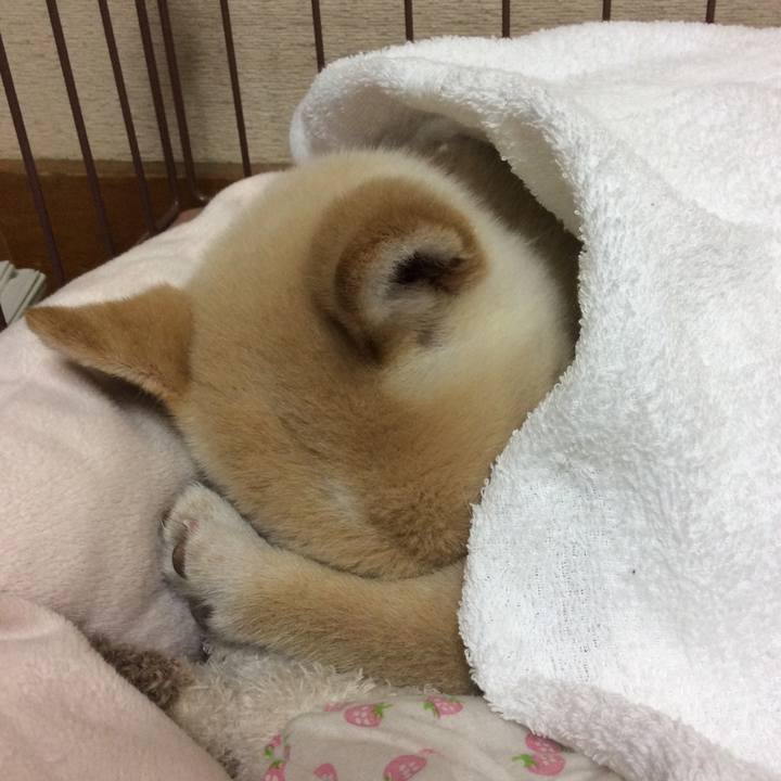 Ad71b00b ab33 4cfe b2f2 144342a5414b