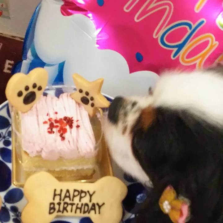 Ad72ebba 9dc5 4bc2 a664 9068c57f7cd3