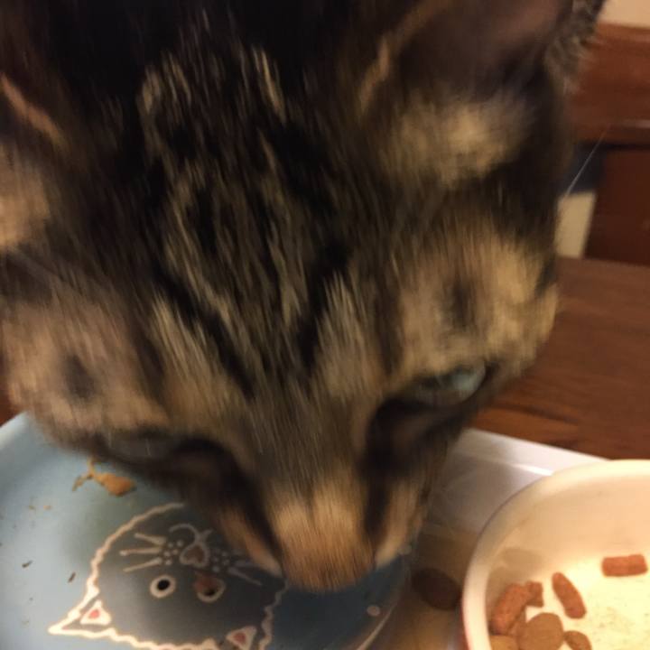 Ad7328b0 e147 4338 8c16 83a6ccd99115