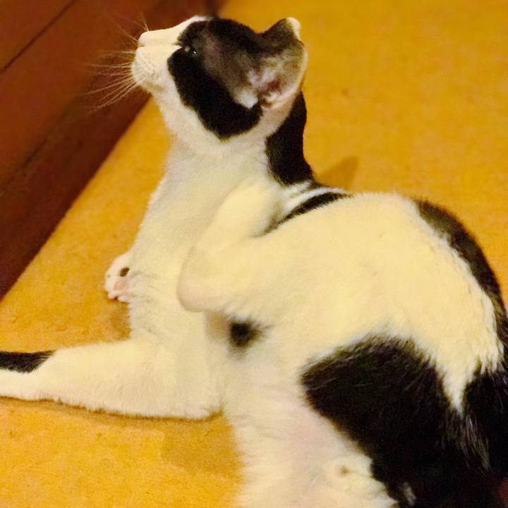 Ad73eade b30f 4312 9f6a b0f5d614959b