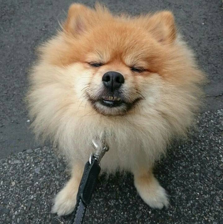 Ad748ae6 f670 433c a7f6 64ab6e657367