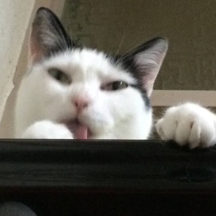 Ad74d97b 9c57 4857 9614 f1d328eeea61