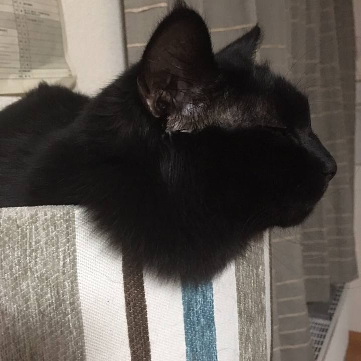 Ad74f9fb 64a3 49aa bf24 894552b99473